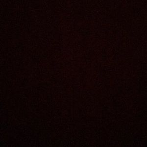 Meet your Posher, Tamia